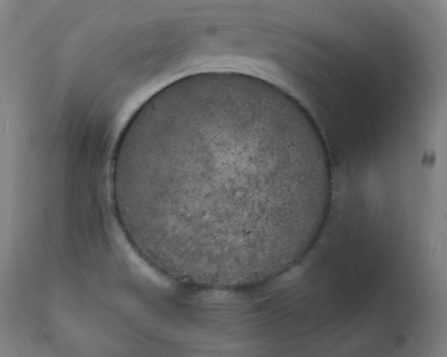 X0000111221517200907091259