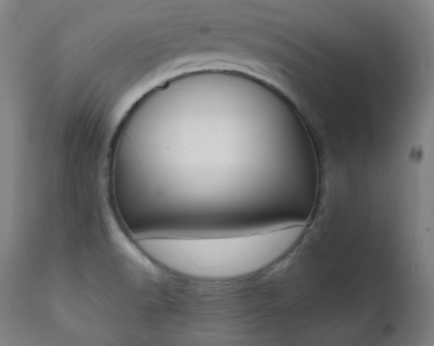 X0000111221518200907091259
