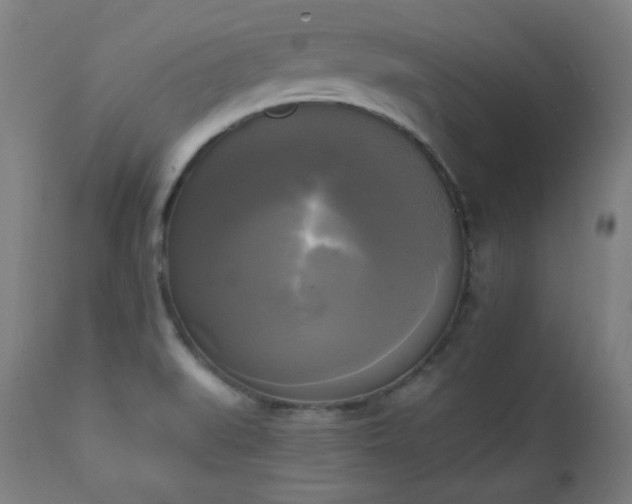 X0000111221519200907091259
