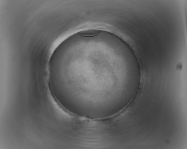 X0000111221520200907091259