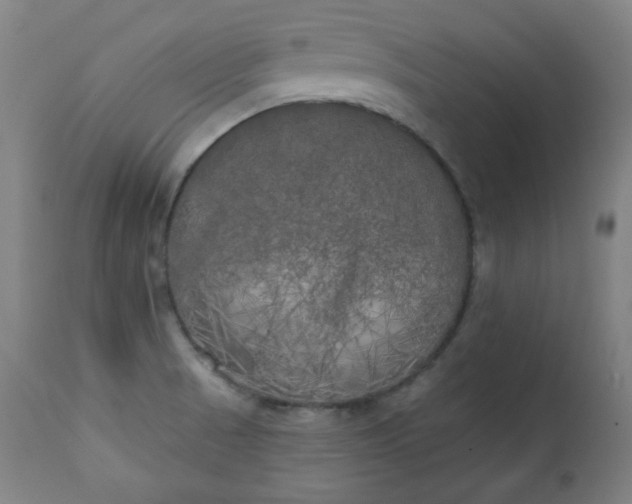 X0000111221521200907091259
