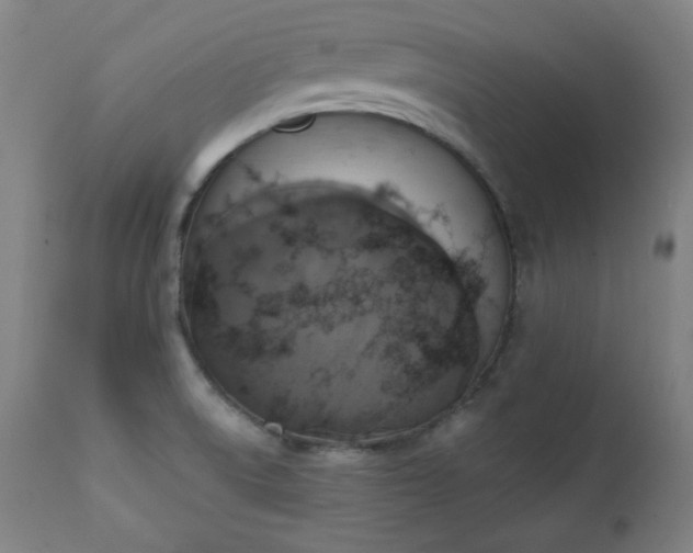X0000111221522200907091259