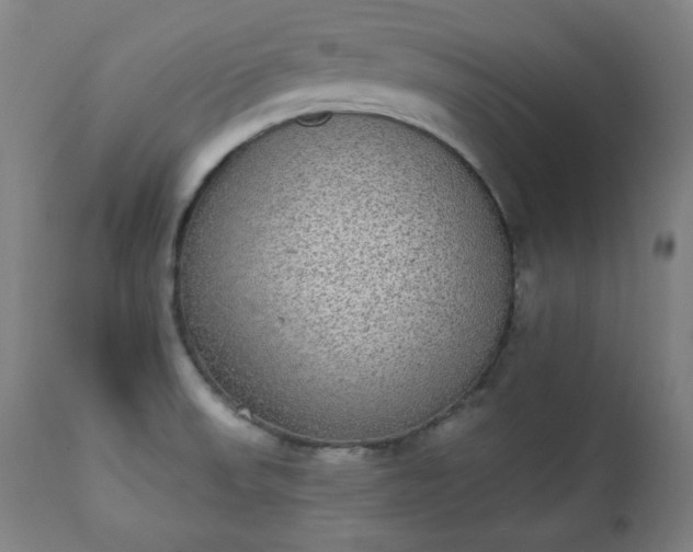X0000111221523200907091300