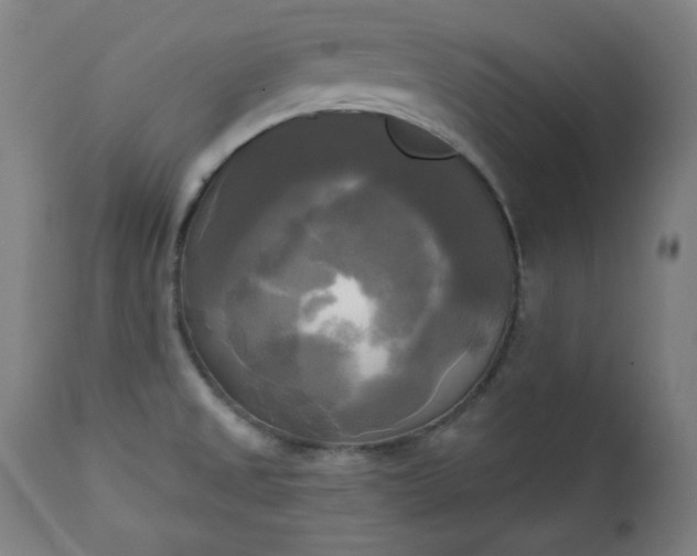 X0000111221525200907091300
