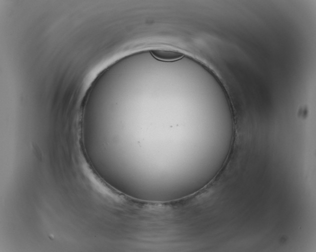 X0000111221526200907091300