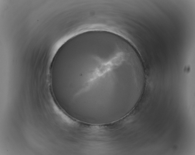 X0000111221527200907091300