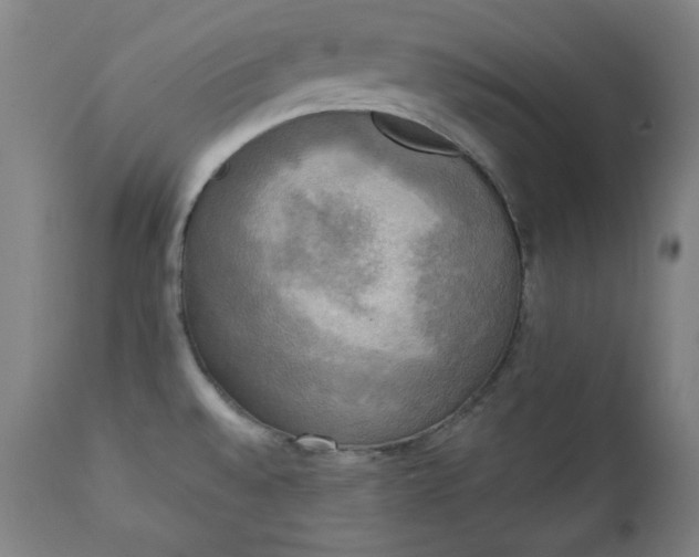 X0000111221528200907091300