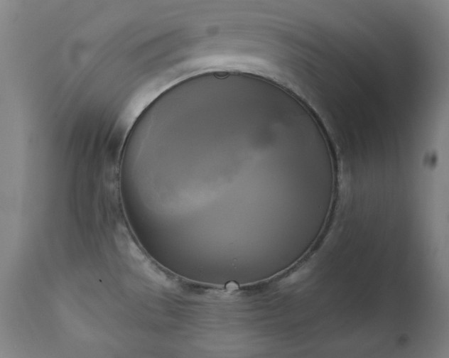 X0000111221529200907091300