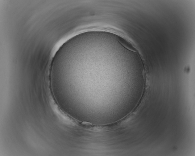 X0000111221530200907091300