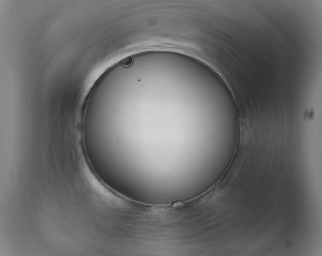 X0000111221531200907091300