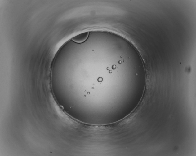 X0000111221534200907091300