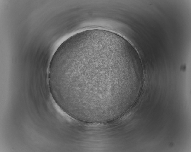 X0000111221535200907091300