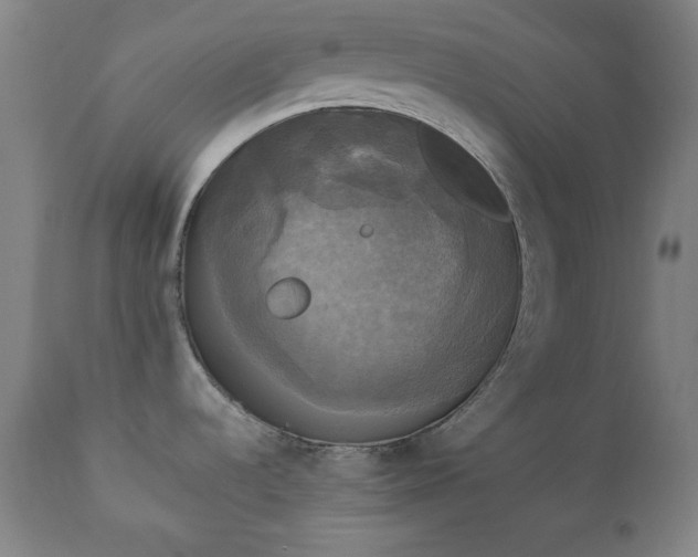 X0000111221536200907091300