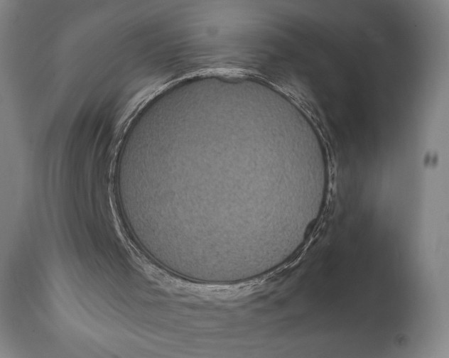 X0000111220001200907161303