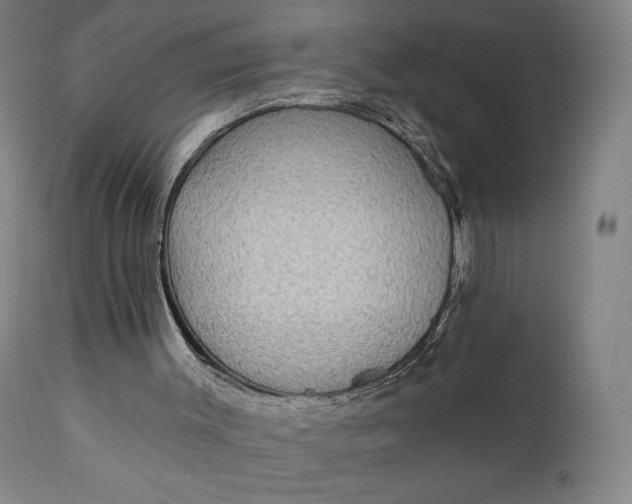 X0000111220003200907161303