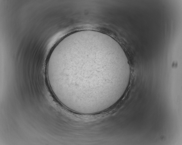 X0000111220006200907161303