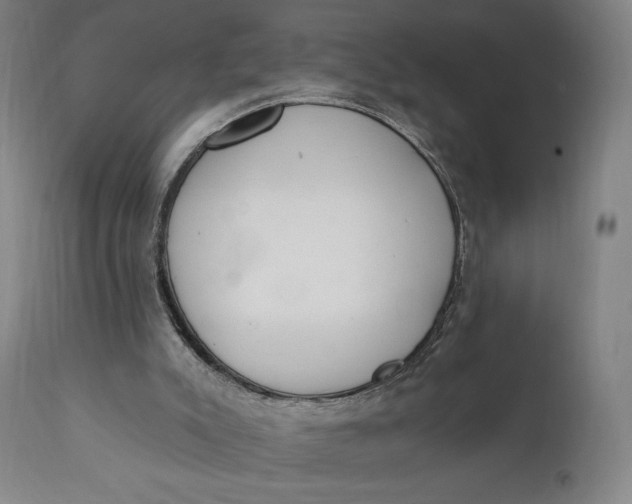 X0000111220007200907161303