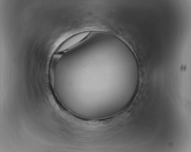 X0000111220008200907161303