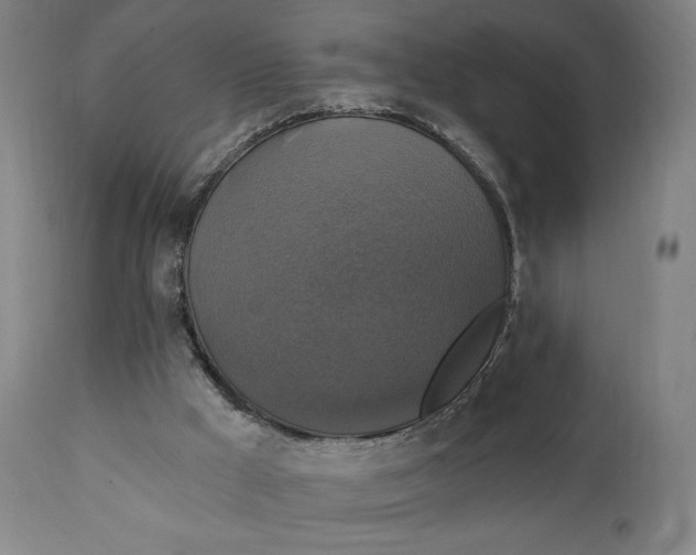 X0000111220009200907161303