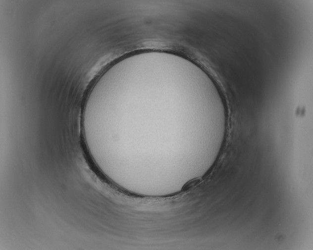 X0000111220011200907161303