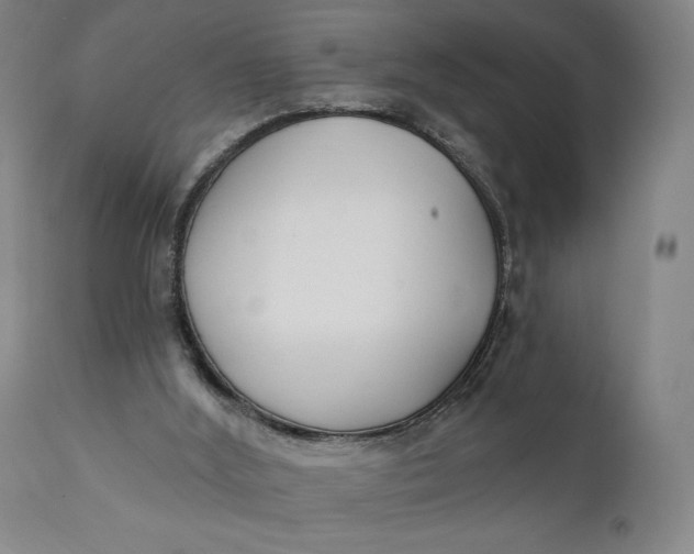X0000111220012200907161303