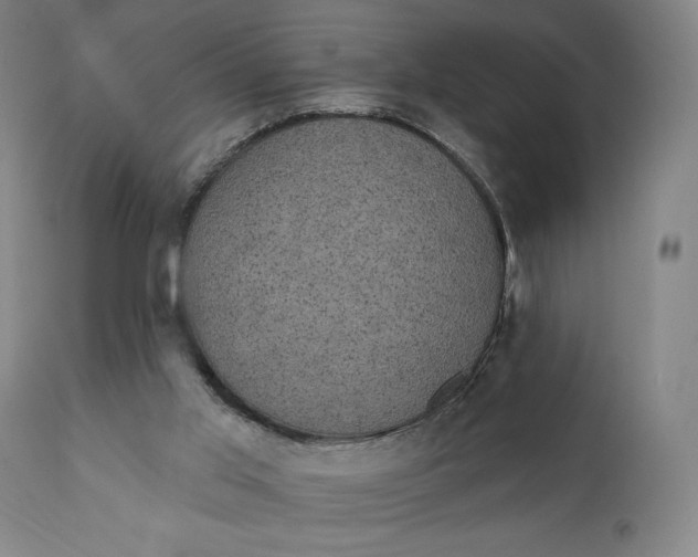 X0000111220013200907161303