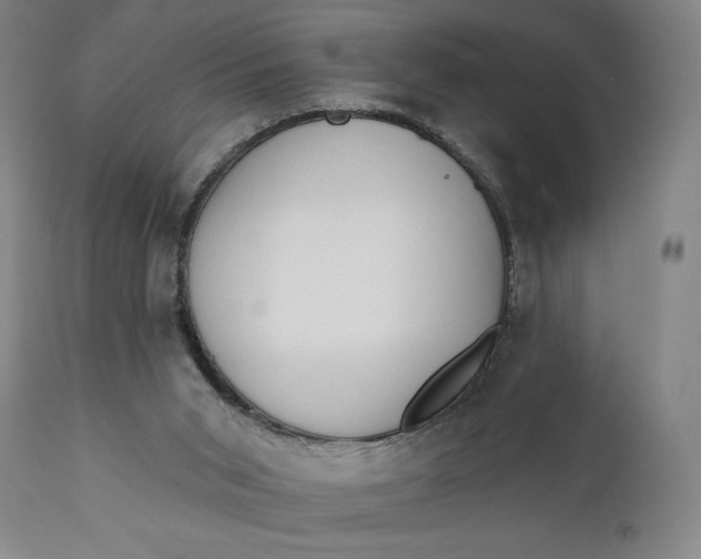 X0000111220015200907161303