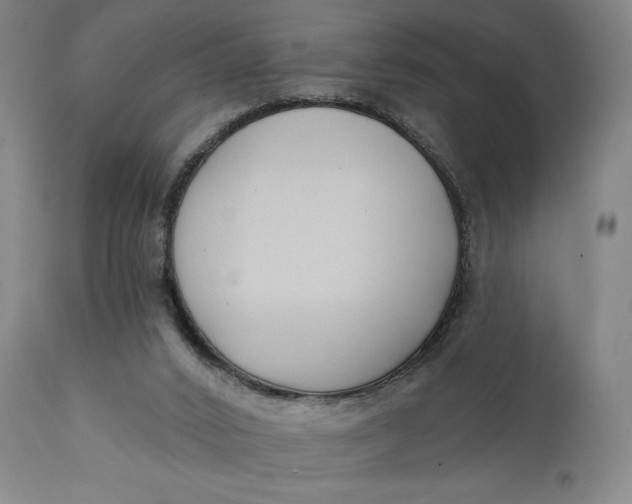 X0000111220016200907161303