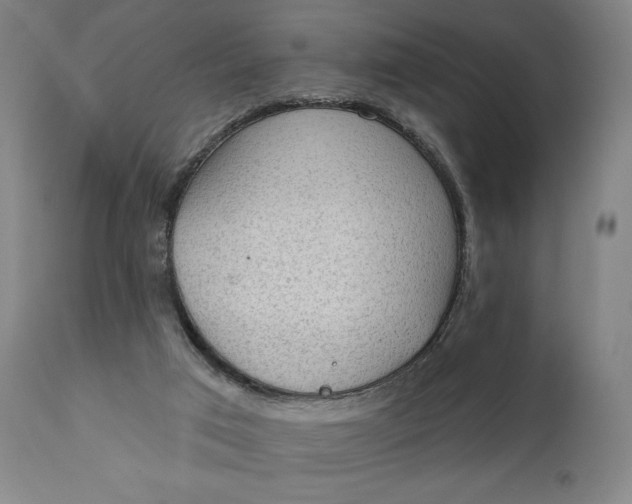 X0000111220017200907161303