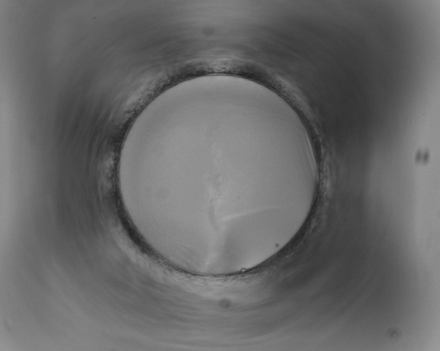 X0000111220018200907161303