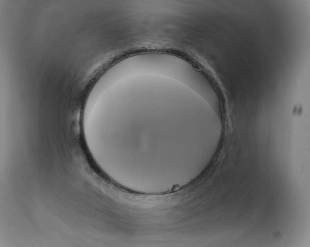 X0000111220019200907161303