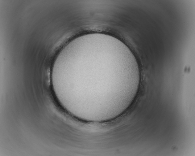 X0000111220020200907161303