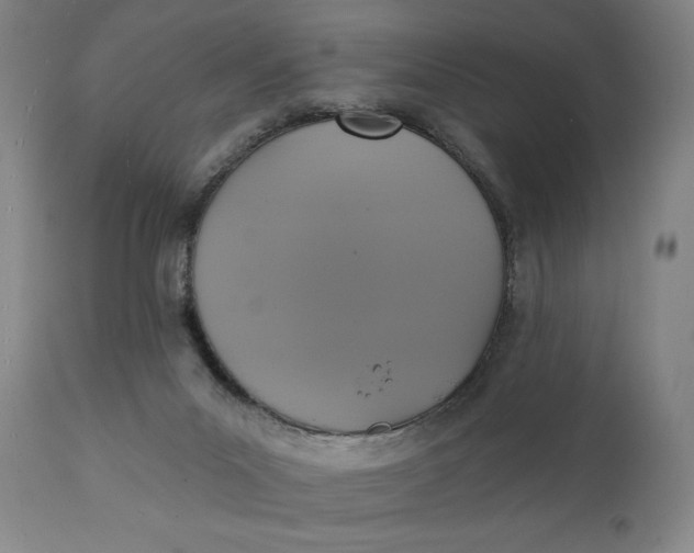 X0000111220023200907161303