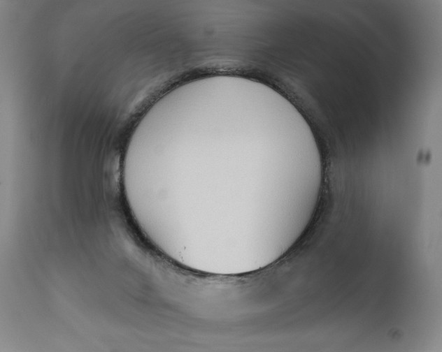 X0000111220024200907161303