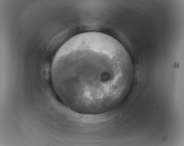 X0000111220026200907161303