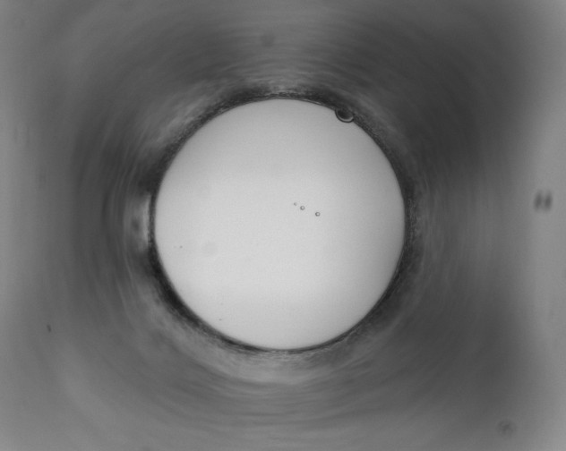 X0000111220028200907161303