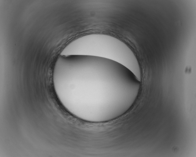 X0000111220029200907161303