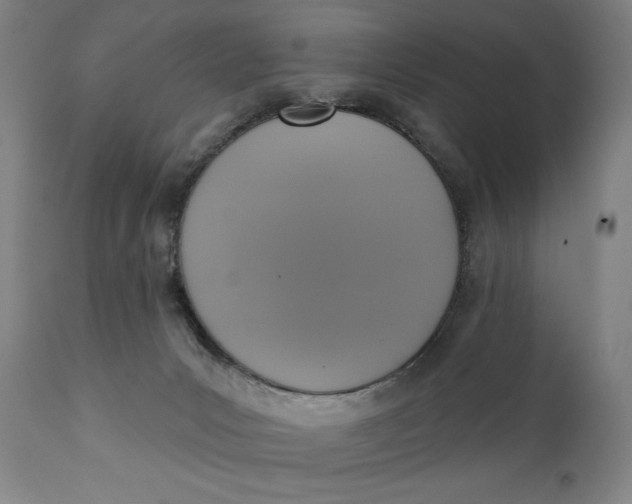 X0000111220031200907161303