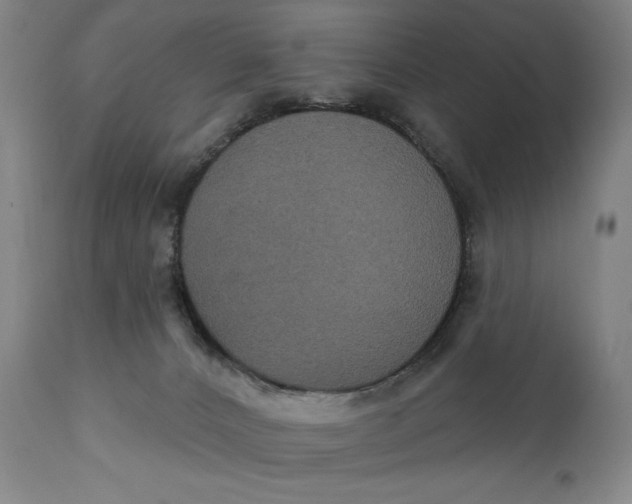 X0000111220032200907161303