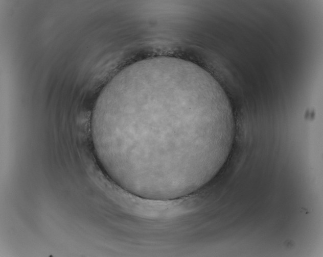 X0000111220034200907161303