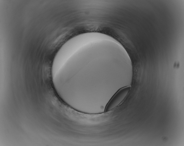 X0000111220035200907161303