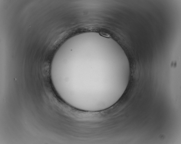 X0000111220036200907161303