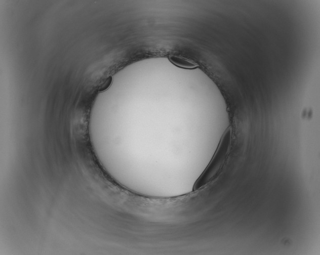 X0000111220037200907161303