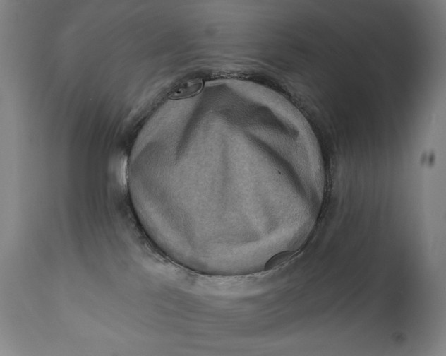 X0000111220041200907161303