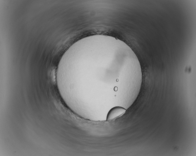 X0000111220042200907161303