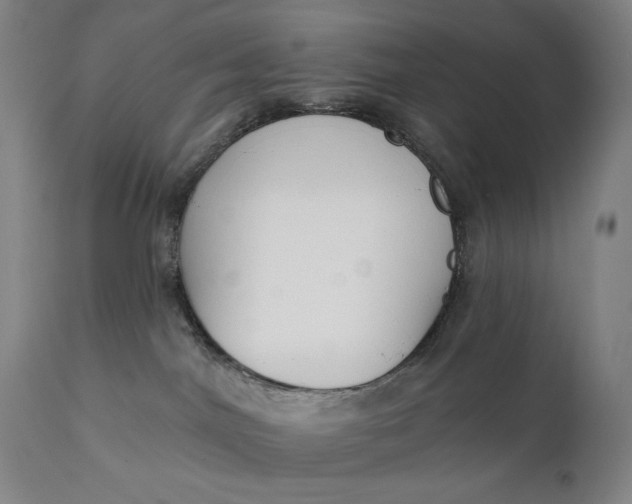 X0000111220044200907161303
