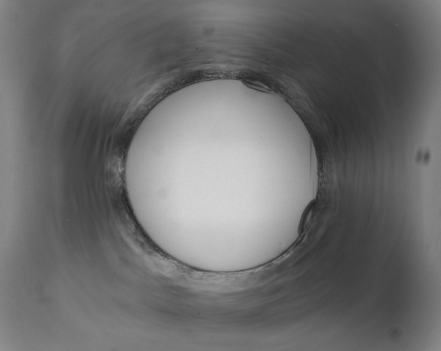 X0000111220045200907161303