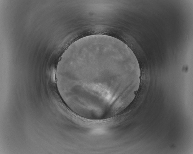 X0000111220046200907161303