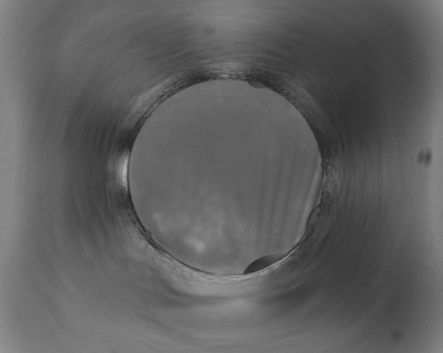 X0000111220047200907161303