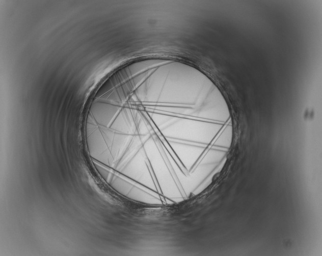 X0000111220050200907161302